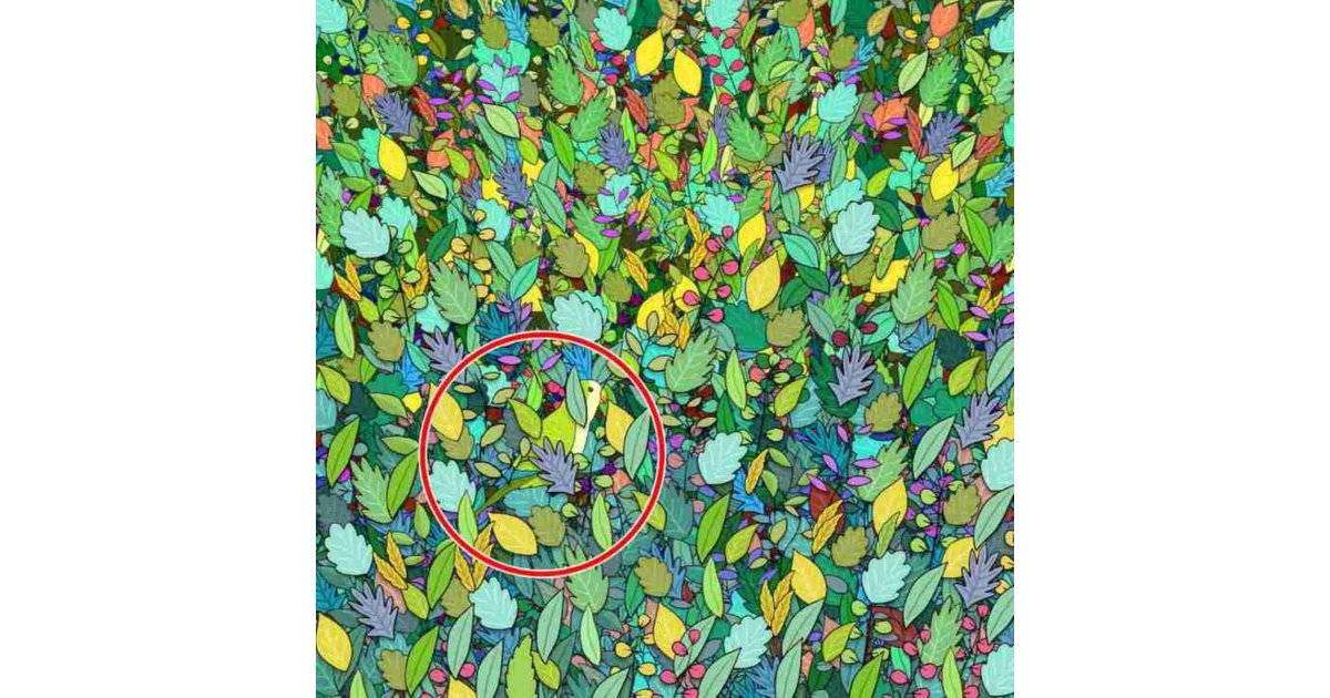 'Hepsini unuttunuz değil mi?' Özcan Deniz kardeşlerini sildi!