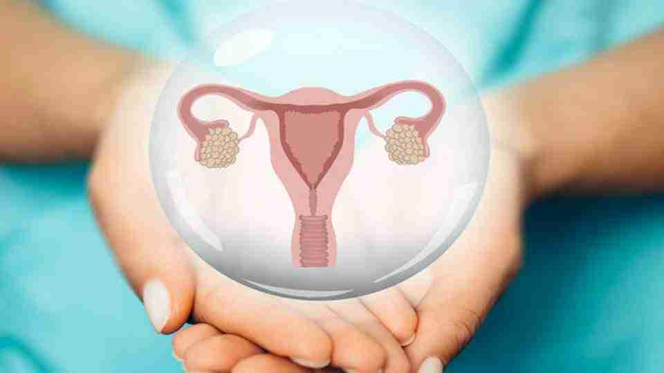 Kadınlarda Yumurta Büyümesi Nedir? Yumurta Büyümesi İçin Ne Yapmalı? Yöntemler Nelerdir?