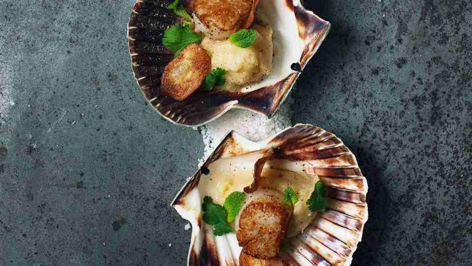 Deniz Tarağı Nedir, Nasıl Yapılır? Merak Edilen Deniz Tarağı Tarifi ve Malzemeleri Deniz Tarağı Nedir, Nasıl Yapılır? Merak Edilen Deniz Tarağı Tarifi ve Malzemeleri