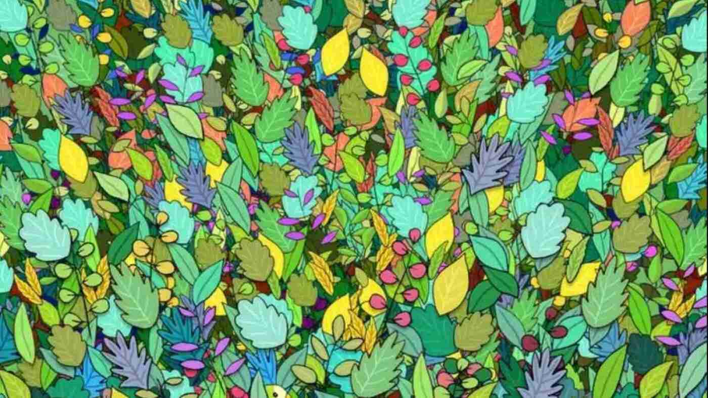 Üstün Zekalı Olanlar Papağanı 9 Saniyede Buluyor! Bulanların IQ'su 150 çıkıyor Üstün Zekalı Olanlar Papağanı 9 Saniyede Buluyor! Bulanların IQ'su 150 çıkıyor