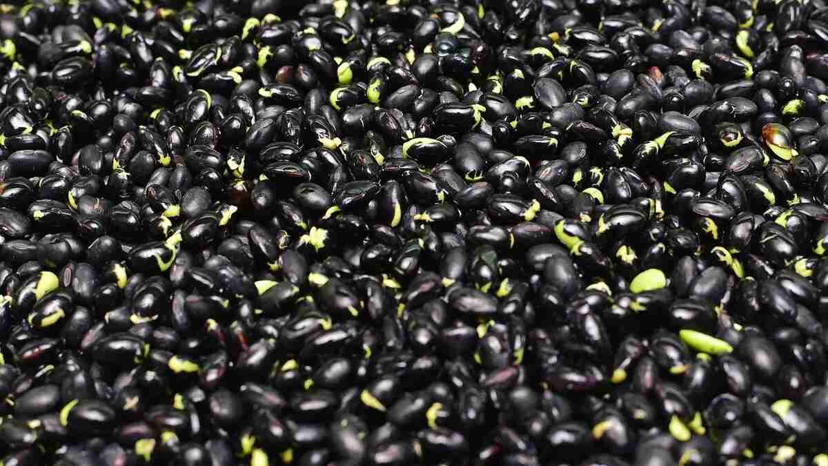 Dünyanın en uzun yaşayan insanlarının sırrı çözüldü! Bilim insanlarından açıklama: 