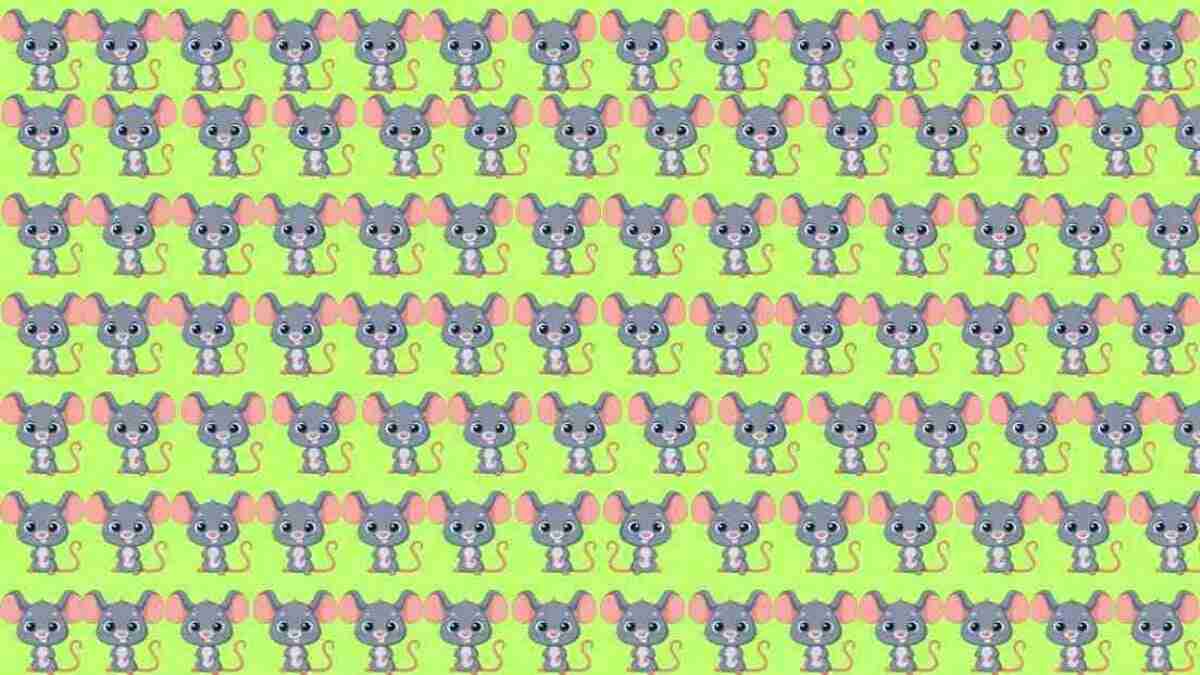 Optik İllüzyon: Sherlock gibi düşünün, farklı fareyi görün