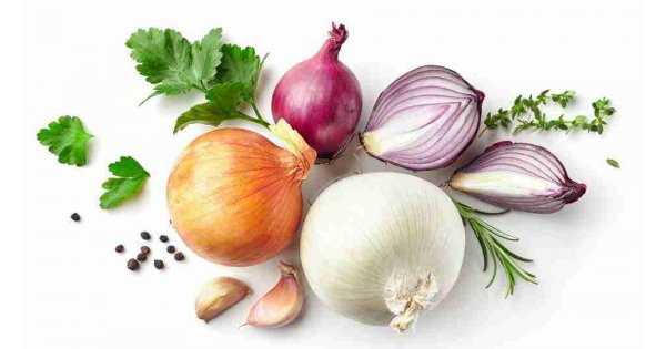Soğanın faydaları nelerdir? Soğan hangi hastalıklardan korur? Soğanın faydaları nelerdir? Soğan hangi hastalıklardan korur?