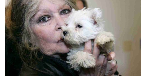 Brigitte Bardot Cumhurbaşkanı Tayyip Erdoğan’a “Sokak hayvanları yasa teklifini geri çekin” çağrısı yaptı Brigitte Bardot Cumhurbaşkanı Tayyip Erdoğan’a “Sokak hayvanları yasa teklifini geri çekin” çağrısı yaptı
